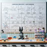 Synergistic compounds for methandienone injection